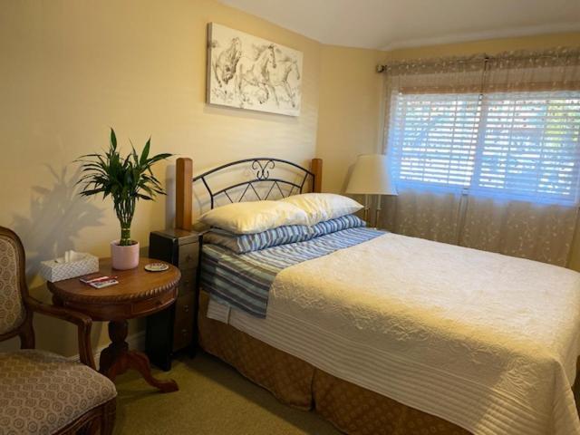 Ocean Breeze Executive Bed And Breakfast North Vancouver Bagian luar foto