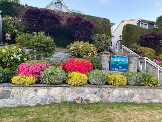 Ocean Breeze Executive Bed And Breakfast North Vancouver Bagian luar foto