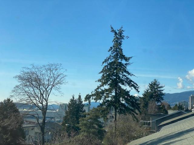 Ocean Breeze Executive Bed And Breakfast North Vancouver Bagian luar foto